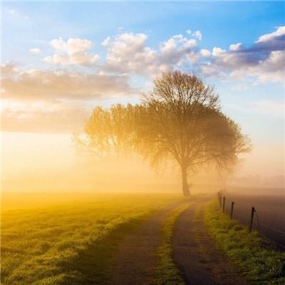 半岛bob·体育官方网站